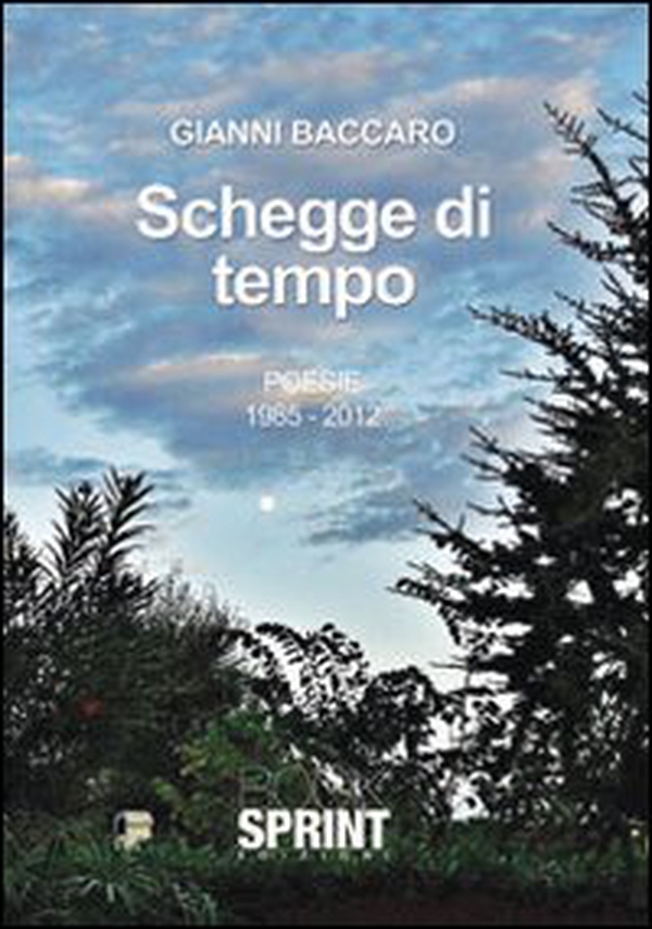 Schegge di tempo - Librerie.coop Schegge di tempo - Librerie.coop