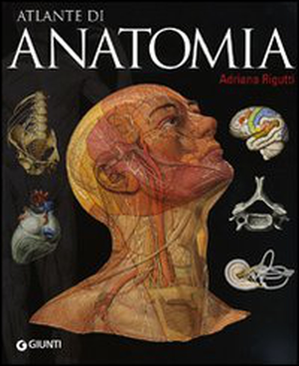 Atlante di anatomia - Librerie.coop Atlante di anatomia - Librerie.coop