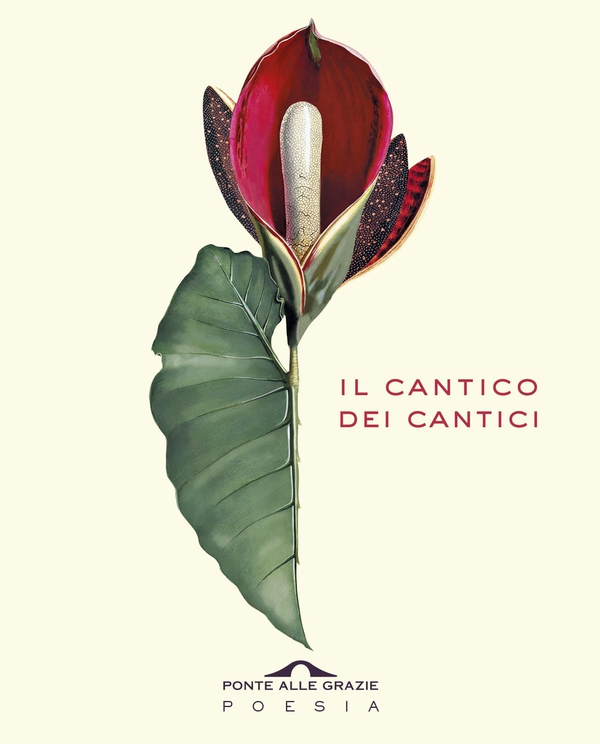 Il Cantico dei Cantici - Librerie.coop Il Cantico dei Cantici - Librerie.coop