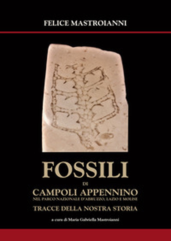 Fossili di Campoli Appennino. Nel parco Nazionale Abruzzo, Lazio e Molise tracce della nostra storia - Librerie.coop Fossili di Campoli Appennino. Nel parco Nazionale Abruzzo, Lazio e Molise tracce della nostra storia - Librerie.coop