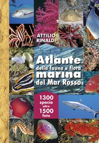 Atlante della fauna e flora marina del Mar Rosso - Librerie.coop
