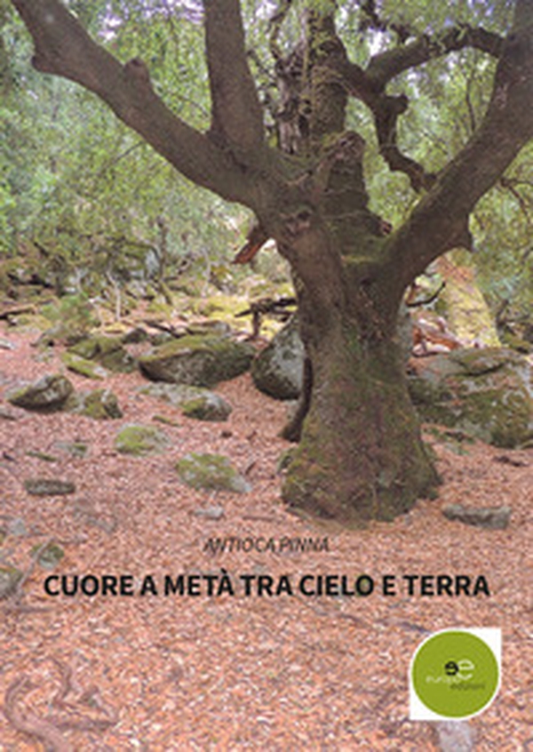 Cuore a metà tra cielo e terra - Librerie.coop Cuore a metà tra cielo e terra - Librerie.coop