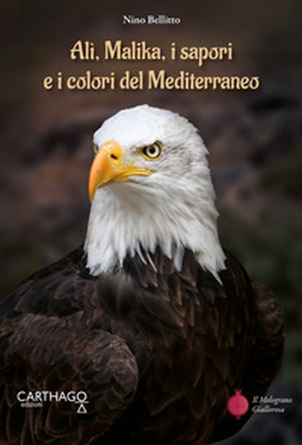 Alì, Malika, i sapori e i colori del Mediterraneo - Librerie.coop Alì, Malika, i sapori e i colori del Mediterraneo - Librerie.coop