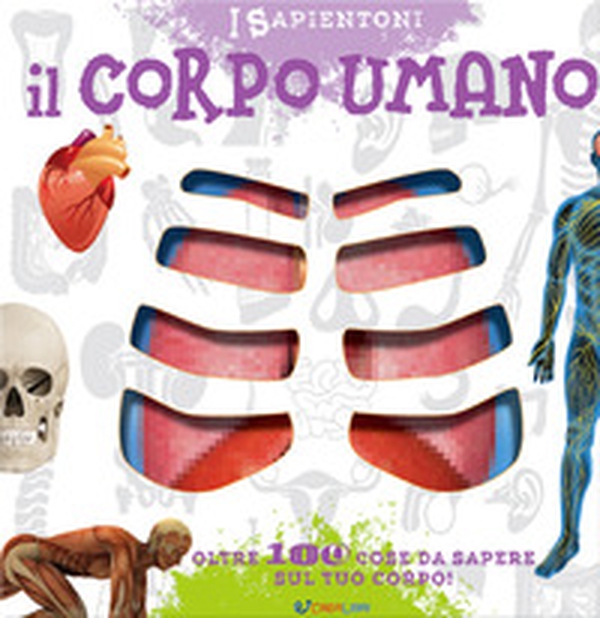 Il corpo umano. Oltre 100 cose da sapere sul tuo corpo - Librerie.coop Il corpo umano. Oltre 100 cose da sapere sul tuo corpo - Librerie.coop