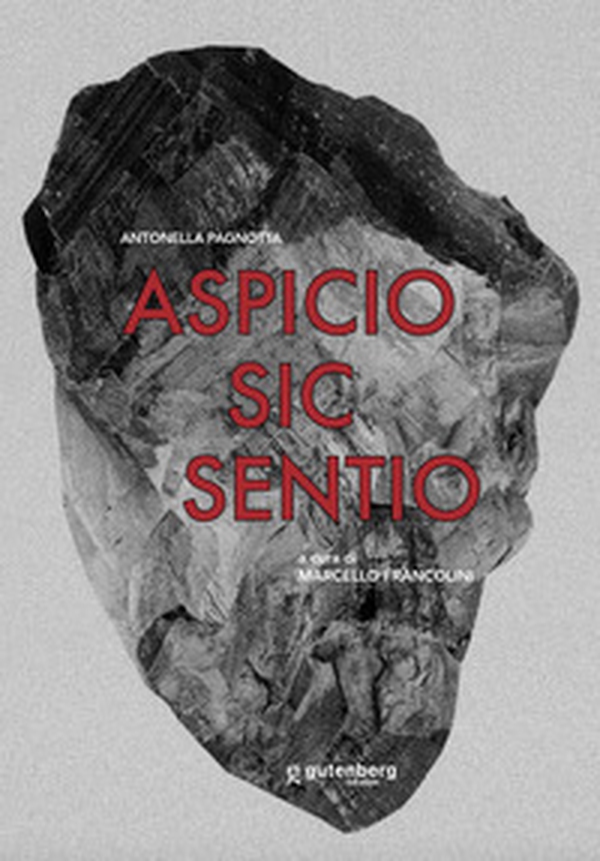 Aspicio sic sentio. Opere di Antonella Pagnotta - Librerie.coop Aspicio sic sentio. Opere di Antonella Pagnotta - Librerie.coop