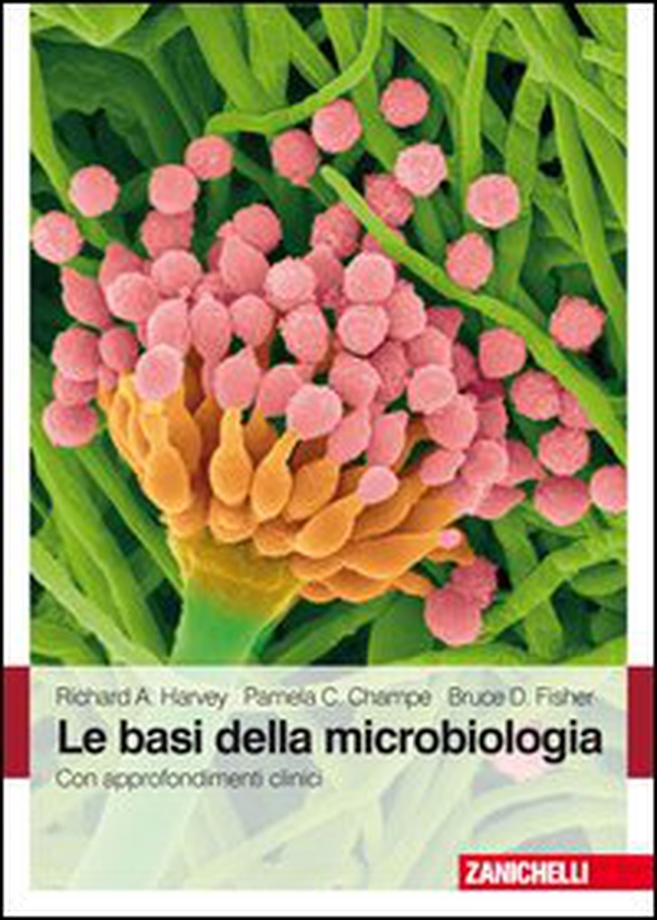 Le basi della microbiologia. Con approfondimenti clinici - Librerie.coop Le basi della microbiologia. Con approfondimenti clinici - Librerie.coop