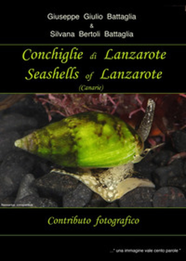 Conchiglie di Lanzarote-Seashells of Lanzarote - Librerie.coop Conchiglie di Lanzarote-Seashells of Lanzarote - Librerie.coop
