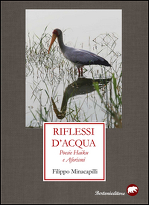 Riflessi d'acqua. Poesie haiku e aforismi - Librerie.coop Riflessi d'acqua. Poesie haiku e aforismi - Librerie.coop