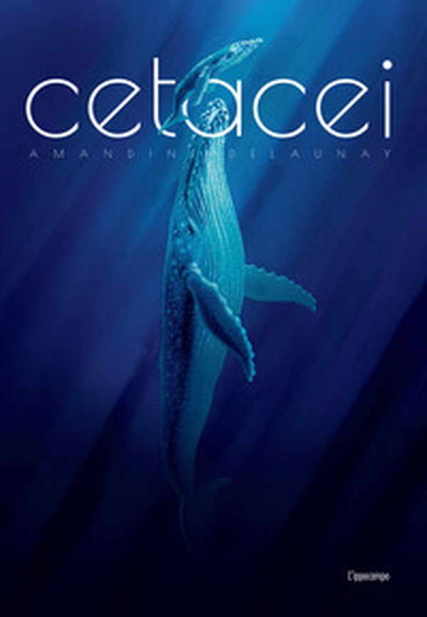 Cetacei. Album scoperte - Librerie.coop Cetacei. Album scoperte - Librerie.coop