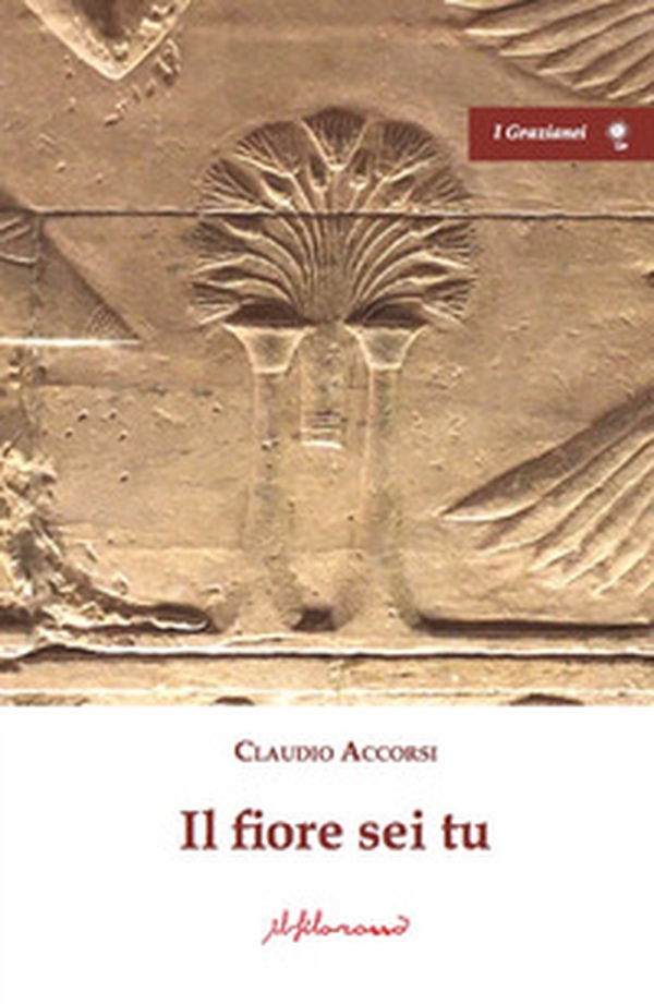 Il fiore sei tu - Librerie.coop Il fiore sei tu - Librerie.coop