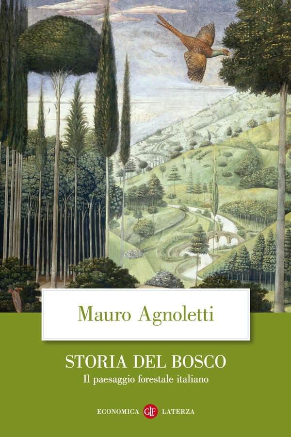 Storia del bosco - Librerie.coop Storia del bosco - Librerie.coop
