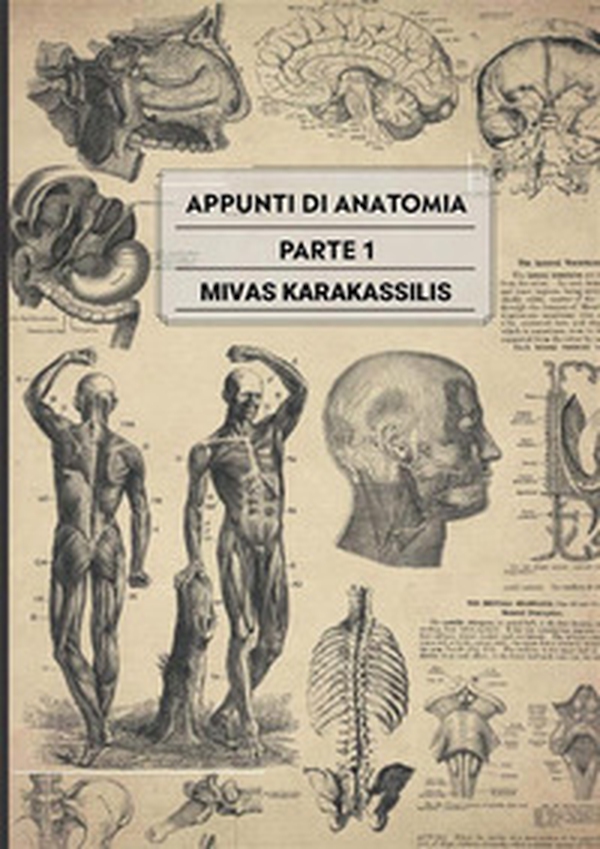 Appunti di anatomia - Vol. 1 - Librerie.coop Appunti di anatomia - Vol. 1 - Librerie.coop