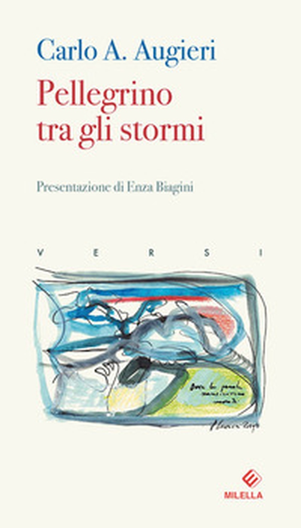 Pellegrino tra gli stormi - Librerie.coop Pellegrino tra gli stormi - Librerie.coop