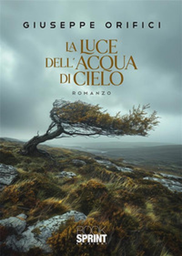 La luce dell'acqua di cielo - Librerie.coop La luce dell'acqua di cielo - Librerie.coop