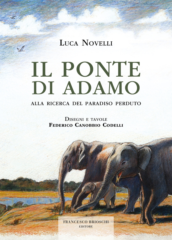 Il Ponte di Adamo - Librerie.coop Il Ponte di Adamo - Librerie.coop