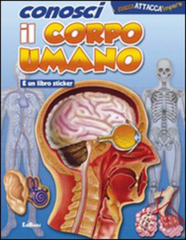 Conosci il corpo umano - Librerie.coop Conosci il corpo umano - Librerie.coop