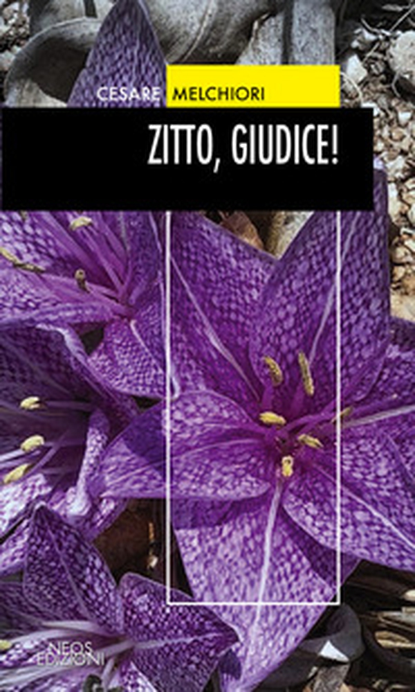 Zitto, giudice! - Librerie.coop Zitto, giudice! - Librerie.coop