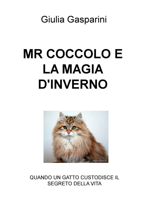 MR COCCOLO E LA MAGIA D'INVERNO - Librerie.coop MR COCCOLO E LA MAGIA D'INVERNO - Librerie.coop