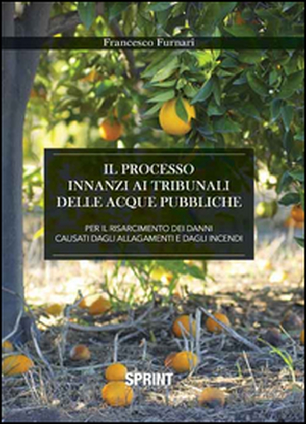 Il processo innanzi ai tribunali delle acque pubbliche per il risarcimento dei danni causati dagli allagamenti e dagli incendi - Librerie.coop Il processo innanzi ai tribunali delle acque pubbliche per il risarcimento dei danni causati dagli allagamenti e dagli incendi - Librerie.coop