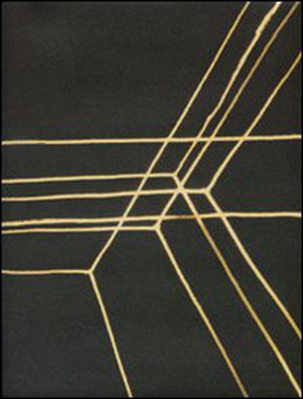 Antony Gormley. Drawing space. Catalogo della mostra (Roma, 26 ottobre 2010-6 febbraio 2011). Ediz. italiana e inglese - Librerie.coop Antony Gormley. Drawing space. Catalogo della mostra (Roma, 26 ottobre 2010-6 febbraio 2011). Ediz. italiana e inglese - Librerie.coop