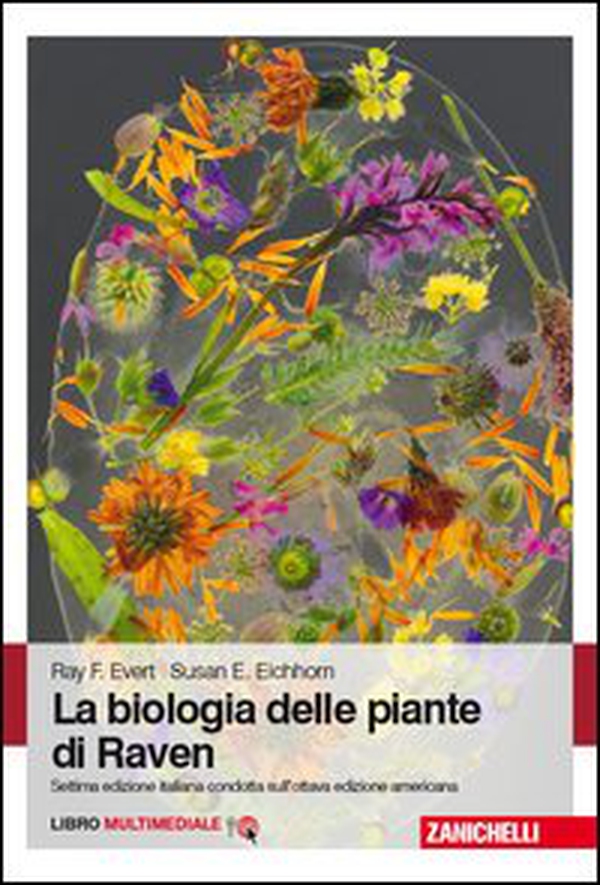 Biologia delle piante di Raven - Librerie.coop Biologia delle piante di Raven - Librerie.coop