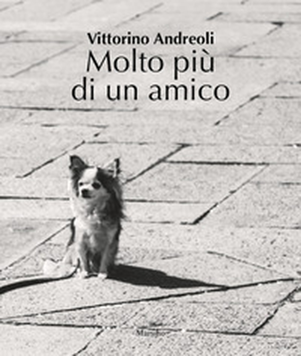 Molto più di un amico - Librerie.coop Molto più di un amico - Librerie.coop