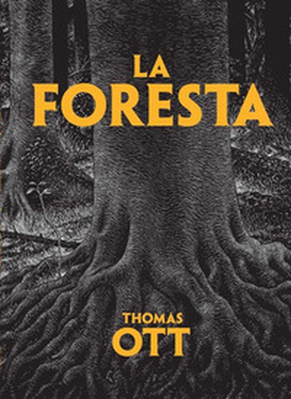 La foresta - Librerie.coop La foresta - Librerie.coop