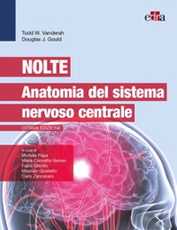 Nolte. Anatomia del sistema nervoso centrale - Librerie.coop