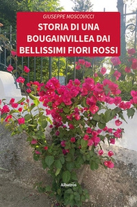 Storia di una bougainvillea dai bellissimi fiori rossi - Librerie.coop