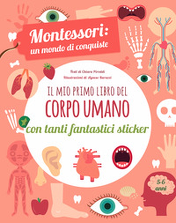 Il mio primo libro del corpo umano. Montessori un mondo di conquiste. Con adesivi - Librerie.coop Il mio primo libro del corpo umano. Montessori un mondo di conquiste. Con adesivi - Librerie.coop