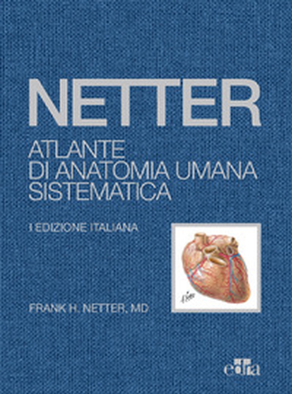 Netter. Atlante di anatomia umana sistematica - Librerie.coop Netter. Atlante di anatomia umana sistematica - Librerie.coop