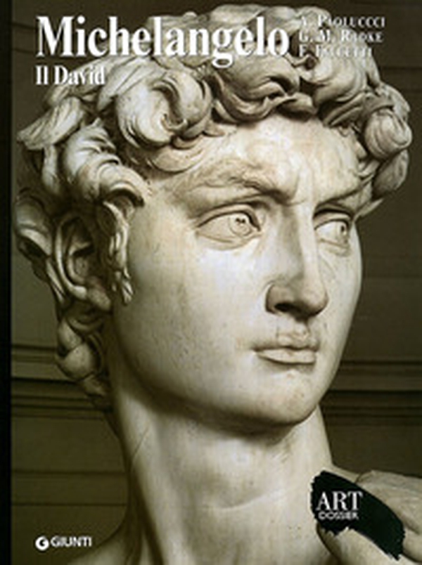 Michelangelo. Il David - Librerie.coop Michelangelo. Il David - Librerie.coop