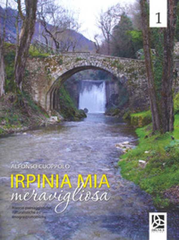 Irpinia mia meravigliosa - Librerie.coop Irpinia mia meravigliosa - Librerie.coop