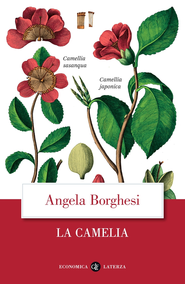 La camelia - Librerie.coop La camelia - Librerie.coop