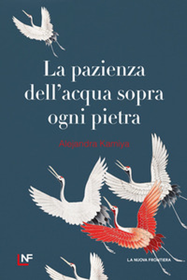 La pazienza dell'acqua sopra ogni pietra - Librerie.coop La pazienza dell'acqua sopra ogni pietra - Librerie.coop