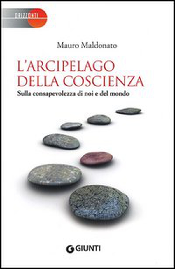 L'arcipelago della coscienza. Sulla consapevolezza di noi e del mondo - Librerie.coop L'arcipelago della coscienza. Sulla consapevolezza di noi e del mondo - Librerie.coop