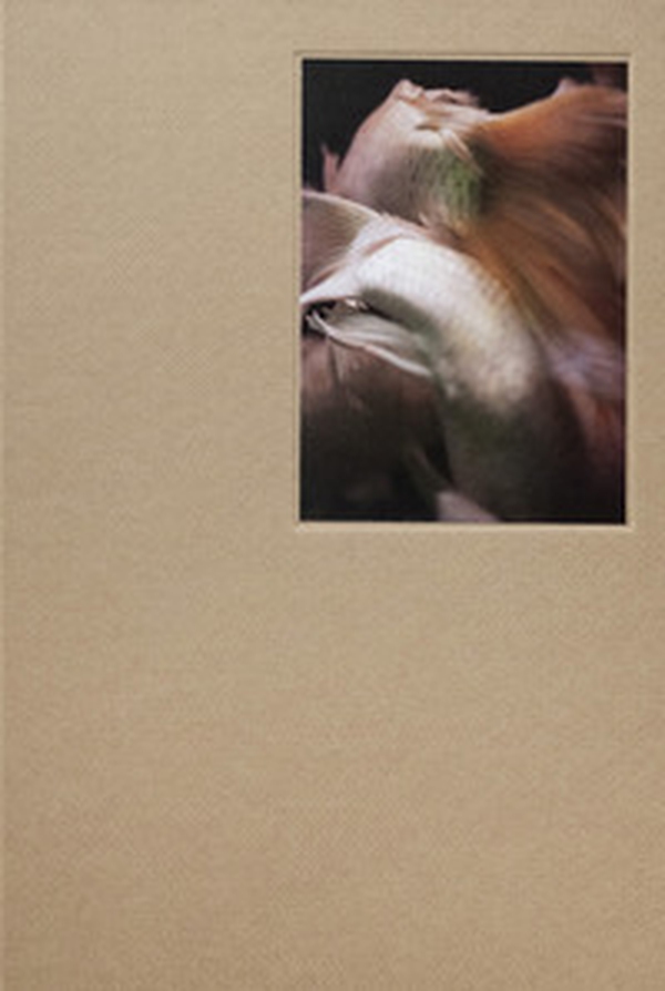 China Dream - Librerie.coop China Dream - Librerie.coop