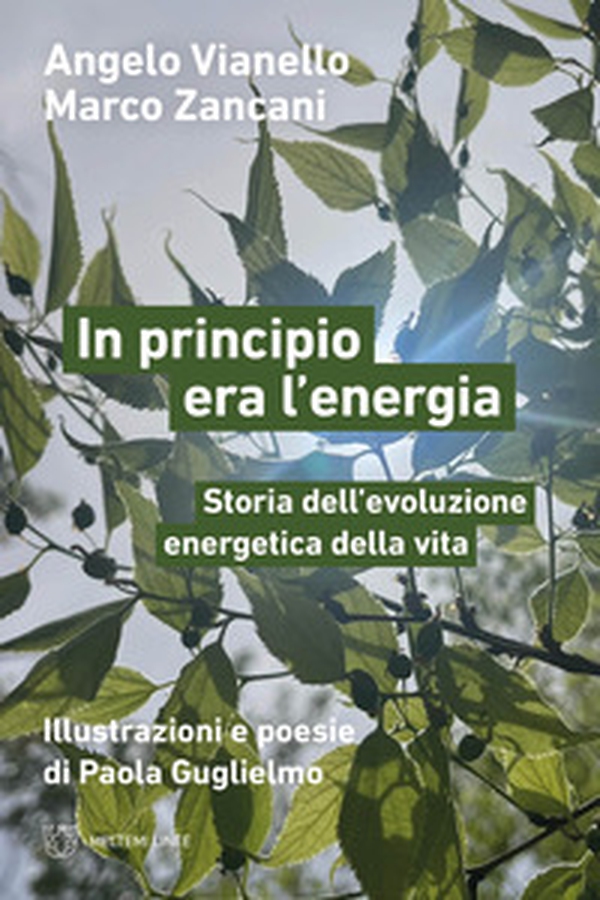 In principio era l'energia. Storia dell'evoluzione energetica della vita - Librerie.coop In principio era l'energia. Storia dell'evoluzione energetica della vita - Librerie.coop
