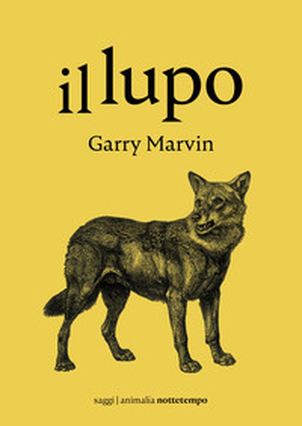 Il lupo - Librerie.coop Il lupo - Librerie.coop