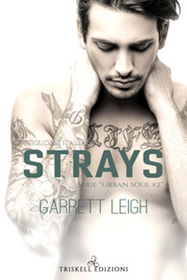 Strays. Urban soul. Ediz. italiana - Librerie.coop Strays. Urban soul. Ediz. italiana - Librerie.coop