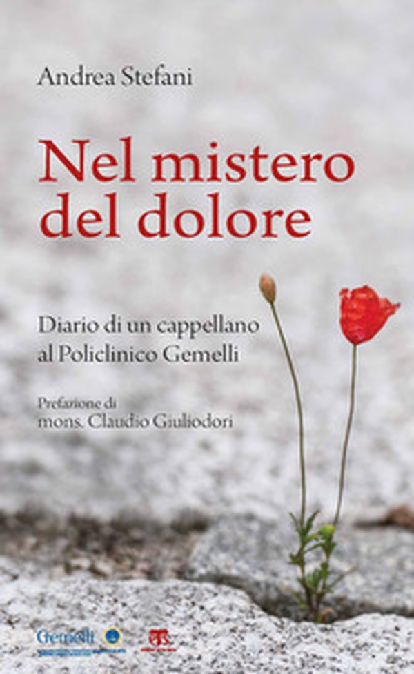 Nel mistero del dolore. Diario di un cappellano al Policlinico Gemelli - Librerie.coop Nel mistero del dolore. Diario di un cappellano al Policlinico Gemelli - Librerie.coop
