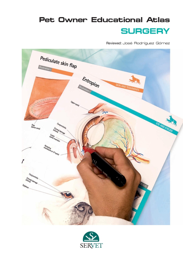 Pet Owner Educational Atlas. Surgery - Librerie.coop Pet Owner Educational Atlas. Surgery - Librerie.coop