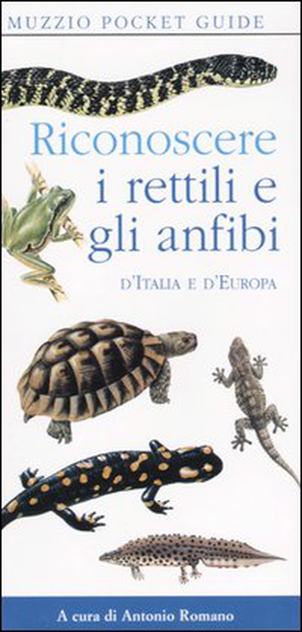 Riconoscere i rettili e gli anfibi d'Italia e d'Europa - Librerie.coop Riconoscere i rettili e gli anfibi d'Italia e d'Europa - Librerie.coop