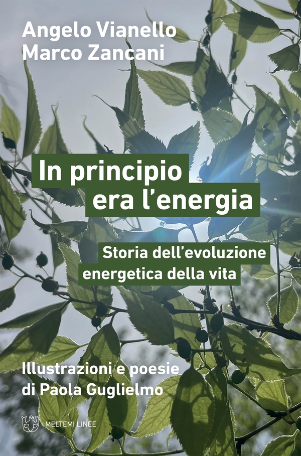 In principio era l’energia - Librerie.coop In principio era l’energia - Librerie.coop