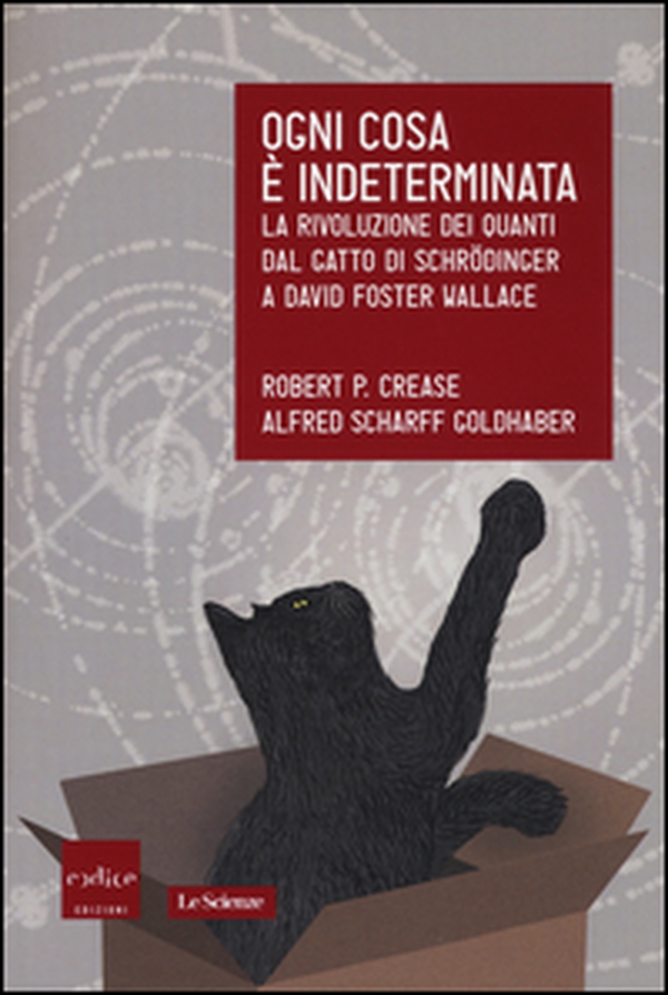 Ogni cosa è indeterminata. La rivoluzione dei quanti dal gatto di Schrödinger a David Foster Wallace - Librerie.coop Ogni cosa è indeterminata. La rivoluzione dei quanti dal gatto di Schrödinger a David Foster Wallace - Librerie.coop