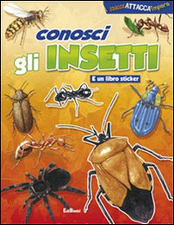 Conosci gli insetti - Librerie.coop Conosci gli insetti - Librerie.coop