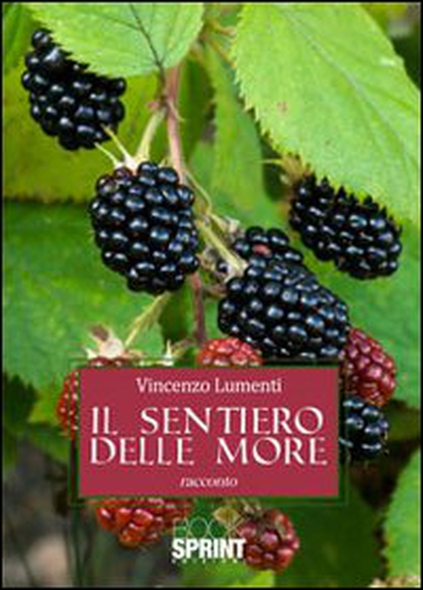 Il sentiero delle more - Librerie.coop Il sentiero delle more - Librerie.coop