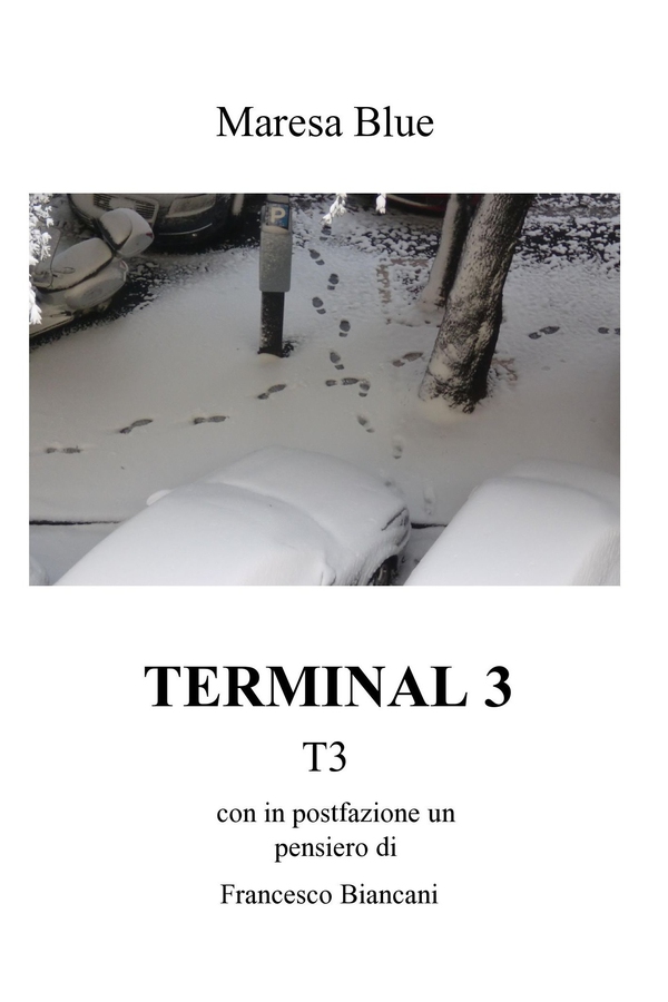 TERMINAL 3 - Librerie.coop TERMINAL 3 - Librerie.coop
