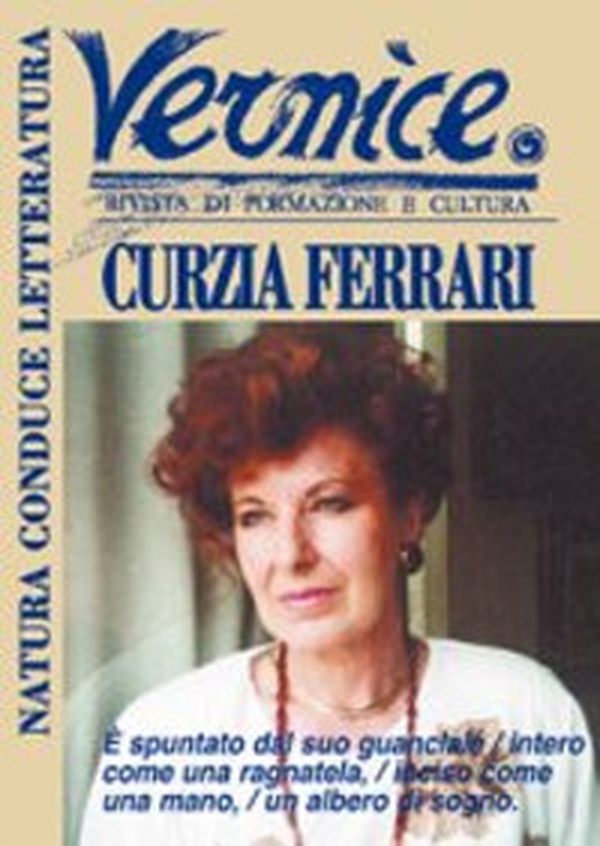 Vernice. Rivista di formazione e cultura - Vol. 31-32 - Librerie.coop Vernice. Rivista di formazione e cultura - Vol. 31-32 - Librerie.coop