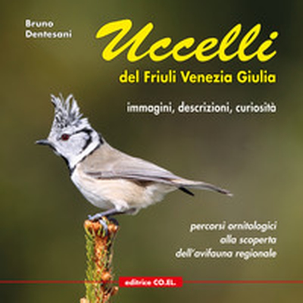 Uccelli del Friuli Venezia Giulia. Immagini, descrizioni, curiosità. Percorsi ornitologici alla scoperta dell'avifauna regionale - Vol. 1 - Librerie.coop Uccelli del Friuli Venezia Giulia. Immagini, descrizioni, curiosità. Percorsi ornitologici alla scoperta dell'avifauna regionale - Vol. 1 - Librerie.coop